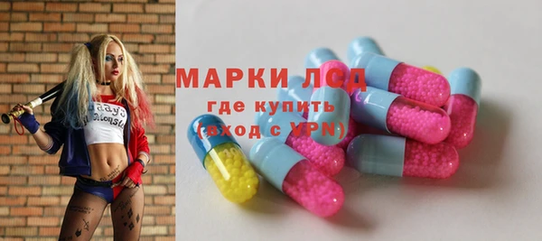 apvp Алзамай