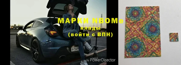 apvp Алзамай