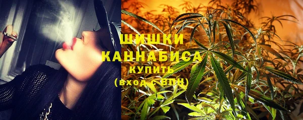 apvp Алзамай