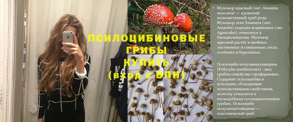 ПСИЛОЦИБИНОВЫЕ ГРИБЫ Алексин